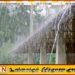 தென் மேற்கு பருவமழை வலுவடையும் என எதிர்பார்ப்பு