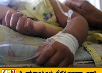 சிக்குன்குனியா மற்றும் டெங்கு ஆகிய இரு நோய்களும் ஒரே நேரத்தில் ஏற்படும் அபாயம்