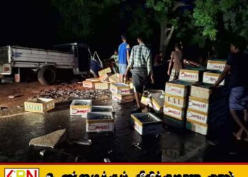 டயர் வெடித்ததில் மீன் ஏற்றி சென்ற கெப் வாகனம் விபத்து