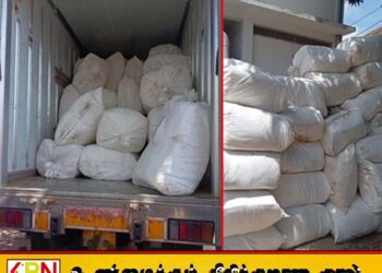 சட்டவிரோதமாக நாட்டுக்கு கொண்டுவரப்பட்ட பீடி இலைகளுடன் ஒருவர் கைது