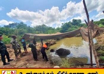 வெடிவிபத்தில் குண்டு கழுத்தில் பாய்ந்து உயிருக்கு போராடிய யானை உயிரிழப்பு