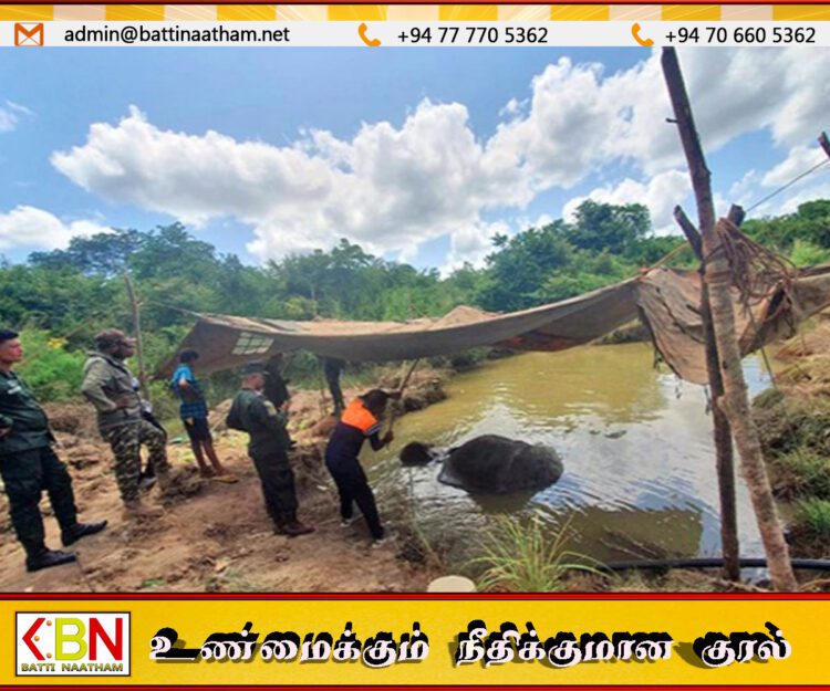 வெடிவிபத்தில் குண்டு கழுத்தில் பாய்ந்து உயிருக்கு போராடிய யானை உயிரிழப்பு