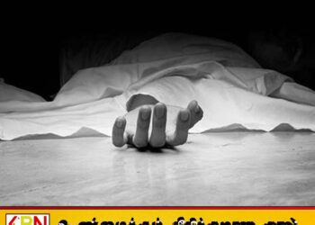 வென்னப்புவ பகுதியில் குப்பைத் தொட்டியிலிருந்து சடலமொன்று மீட்பு