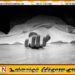 வென்னப்புவ பகுதியில் குப்பைத் தொட்டியிலிருந்து சடலமொன்று மீட்பு