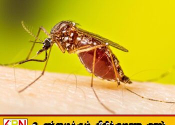 இன்று நாடு முழுவதும் உள்ள அனைத்து பாடசாலைகளிலும் தேசிய நுளம்பு கட்டுப்பாட்டு தினம்