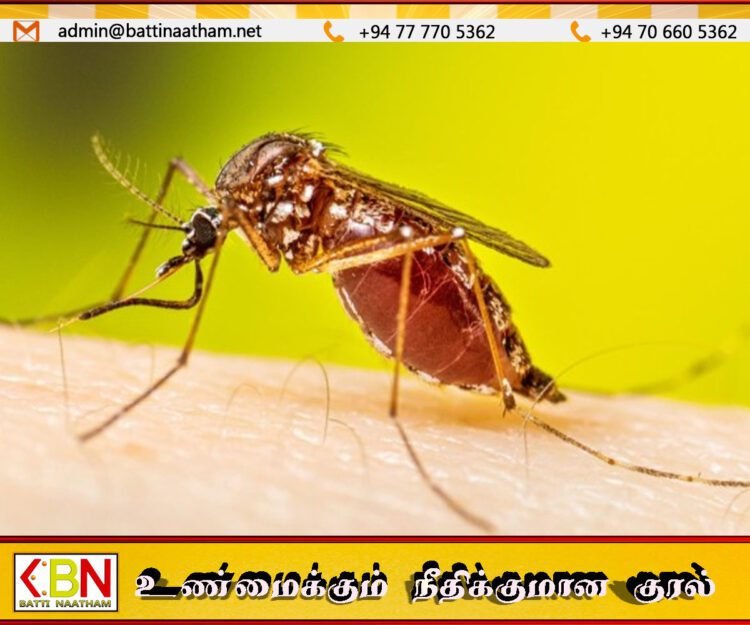 இன்று நாடு முழுவதும் உள்ள அனைத்து பாடசாலைகளிலும் தேசிய நுளம்பு கட்டுப்பாட்டு தினம்