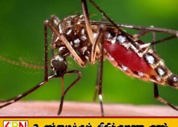தேசிய டெங்கு கட்டுப்பாட்டு வாரம்; 48,354 இடங்களில் சோதனை