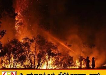 ஜேர்மனி கிழக்குப் பகுதிகளில் ஏற்பட்டுள்ள காட்டுத் தீ; மக்கள் வெளியேற்றம்