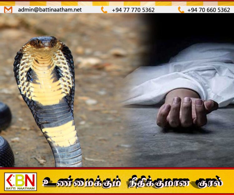 உடகலஉட பிரதேசத்தில் நாகப்பாம்பு தீண்டி 4 வயது சிறுவன் உயிரிழப்பு