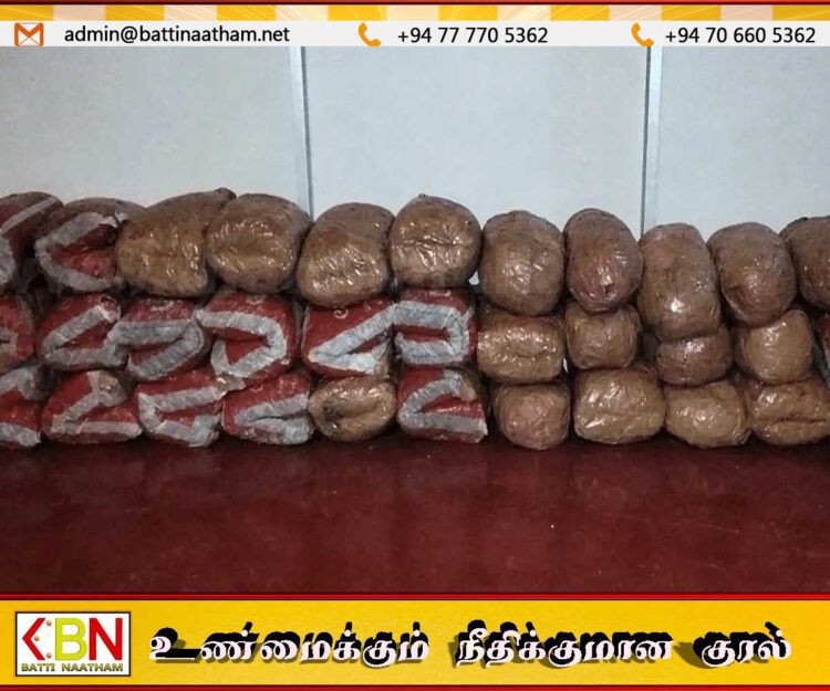 யாழில் வடமராட்சிப் பகுதியில் 1.2 பில்லியன் மதிப்புள்ள கேரள கஞ்சா மீட்பு; ஒருவர் கைது