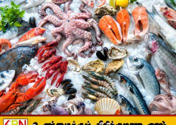 இலங்கை மீது அமெரிக்கா விதித்துள்ள வரி; கடல் உணவு ஏற்றுமதியாளர்களுக்கு தாக்கம்