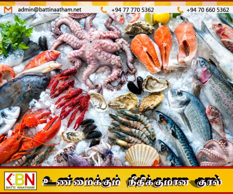 இலங்கை மீது அமெரிக்கா விதித்துள்ள வரி; கடல் உணவு ஏற்றுமதியாளர்களுக்கு தாக்கம்