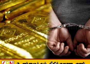 35 கிலோ தங்கத்துடன் ஒருவர் கைது