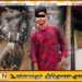 மட்டு காத்தான்குடியில் அதிகாலை இடம்பெற்ற விபத்தில் 17 வயது சிறுவன் ஒருவர் உயிரிழப்பு