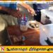 மனதை உருக்கிய இன்றைய செம்மணியின் முக்கிய அடையாளம்