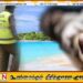 அடையாளம் தெரியாத பெண் ஒருவரின் சடலம் மீட்பு