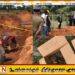 முல்லைத்தீவு கொக்குத்தொடுவாய் மனிதப் புதைகுழி; 52 மனித என்புத்தொகுதிகள் குறித்து வெளியான அறிக்கை