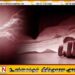 அம்பாறை, கலஹிடியாகொட கிராமத்தில் மின்சாரம் தாக்கி ஒருவர் பலி