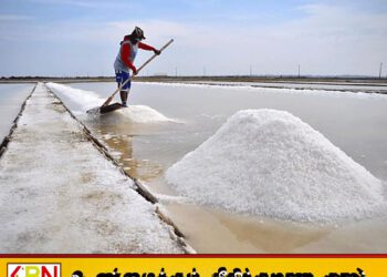 வானிலை காரணமாக உப்பு விளைச்சல் அதிகமாகக் காணப்படுகின்றதாக உற்பத்தியாளர்கள் தெரிவிப்பு