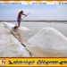 வானிலை காரணமாக உப்பு விளைச்சல் அதிகமாகக் காணப்படுகின்றதாக உற்பத்தியாளர்கள் தெரிவிப்பு