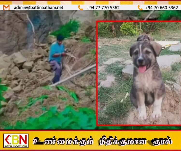 67 பேரின் உயிரைக் காப்பாற்றிய ஒற்றை நாய்