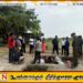 செம்மணி புதைகுழி அகழ்வு பணிகளில் இதுவரை 115 மனித எச்சங்கள் மீட்பு