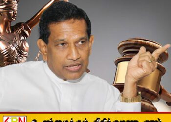 கைது செய்யப்படுவதனை தடுக்கும் நோக்கில் ராஜித சேனாரத்ன முன்பிணை கோரி மனு தாக்கல்