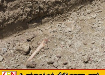 செம்மணி மனிதப் புதைகுழி; சிரமதான பணிகளின் போதும் என்பு தொகுதி எச்சங்கள் அடையாளம்