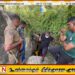 தமிழீழ விடுதலைப்புலிகள் பயன்படுத்திய பதுங்குகுழியைத் தோண்டும் பணி ஆரம்பம்