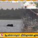 வவுனியா நகருக்குள் நுழைந்து வீடொன்றை சேதப்படுத்தி குளத்துக்குள் விழுந்த யானை