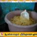 கல்முனை பிராந்தியத்தில் உணவகங்கள் மீது திடீர் சோதனை