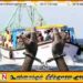 தமிழக மீனவர்கள் 7 பேர் இலங்கை கடற்படையினரால் கைது