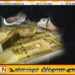 அரச வங்கியொன்றின் முன்னாள் அதிகாரியால் கோடிக்கணக்கில் மோசடி