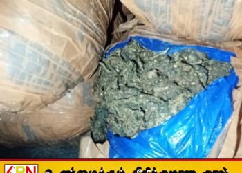 மன்னாரில் 20 மில்லியன் பெறுமதியான கேரள கஞ்சா மீட்பு