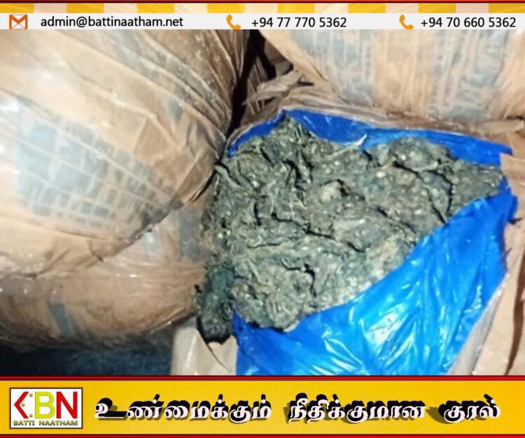 மன்னாரில் 20 மில்லியன் பெறுமதியான கேரள கஞ்சா மீட்பு
