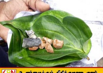 சந்தையில் வெற்றிலை மற்றும் பாக்கின் விலை அதிகரிப்பு