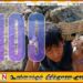 சிறுவர்களுக்கு எதிரான வன்முறைகள் தொடர்பில் முறையிட தொலைபேசி இலக்கம்-109