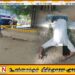 யாழ் முலவைச் சந்தி அருகில் நபர் ஒருவரின் சடலம் மீட்பு