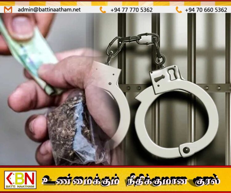 கஞ்சா விற்பனை செய்த மொட்டு நகர சபை உறுப்பினர் கைது