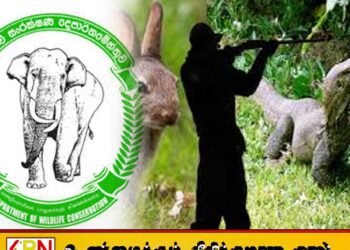 வனவிலங்குகளை வேட்டையாடுவோர் தொடர்பில் தகவல் திரட்ட கிராம மட்டங்களில் விழிப்புணர்வுக் குழு