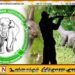 வனவிலங்குகளை வேட்டையாடுவோர் தொடர்பில் தகவல் திரட்ட கிராம மட்டங்களில் விழிப்புணர்வுக் குழு
