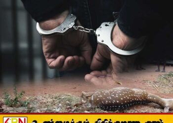 கர்ப்பிணி மானை வேட்டையாடிய சம்பவம் தொடர்பில் இரு பொலிஸ் சார்ஜன்ட்கள் உட்பட மூவர் கைது