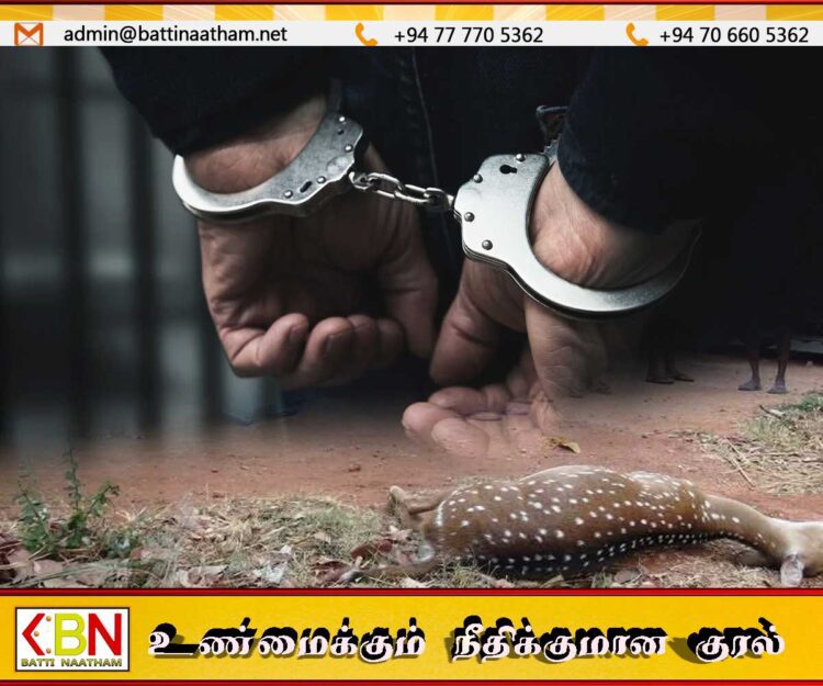 கர்ப்பிணி மானை வேட்டையாடிய சம்பவம் தொடர்பில் இரு பொலிஸ் சார்ஜன்ட்கள் உட்பட மூவர் கைது
