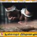 கர்ப்பிணி மானை வேட்டையாடிய சம்பவம் தொடர்பில் இரு பொலிஸ் சார்ஜன்ட்கள் உட்பட மூவர் கைது