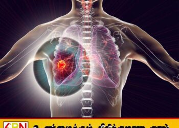 பெண்களை விட ஆண்களுக்கு நுரையீரல் புற்றுநோய் ஏற்படும் அபாயம்