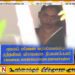 ரோஹித அபேகுணவர்தனவின் மகள் வாக்குமூலம் அளித்த பின்னர் கைது
