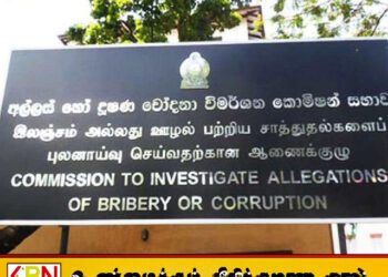 கைது செய்யப்பட மோட்டார் வாகன போக்குவரத்து திணைக்கள அதிகாரிகளுக்கு பிணை