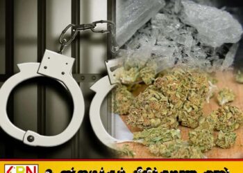 வாழைச்சேனையில் போதைப்பொருள் வியாபாரி கைது