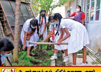 நாட்டில் 121 பாடசாலைகள் நுளம்பு பெருகக்கூடிய பகுதிகளாக அடையாளம்