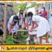 நாட்டில் 121 பாடசாலைகள் நுளம்பு பெருகக்கூடிய பகுதிகளாக அடையாளம்